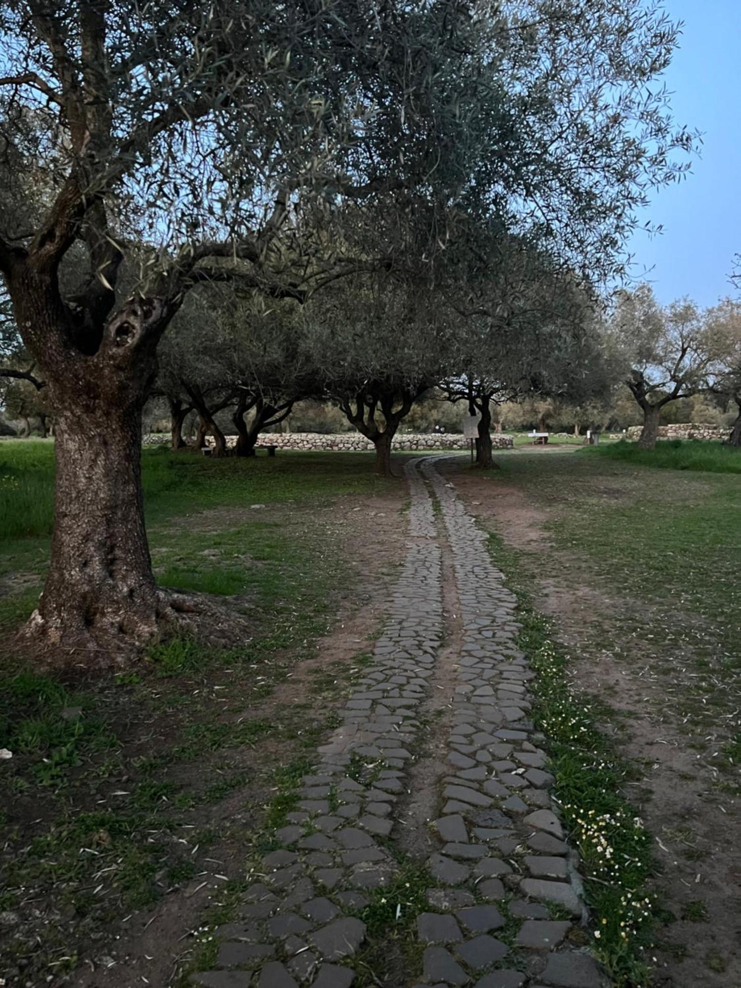 Muristene Pozzo Santa Cristina Paulilatino Exterior foto